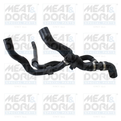 Radiator Hose